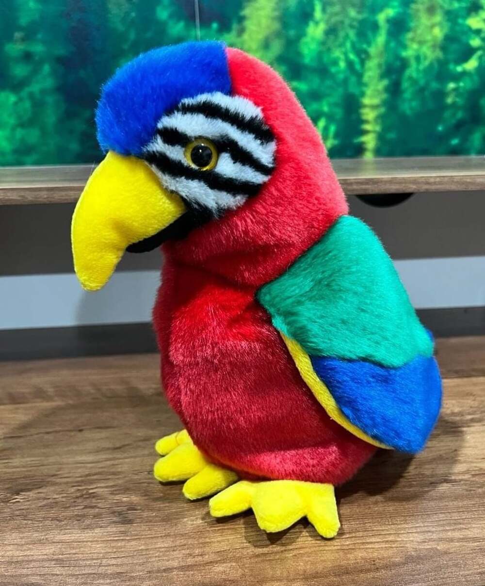 Ty Jabber the Parrot Beanie Buddy Plush Stuffed Animal